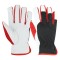 CE Approved Assembly Line Gloves